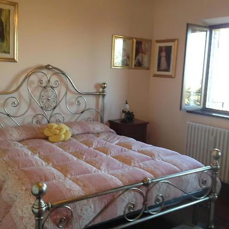 Giulia - Teloni